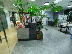 The Mezzo (D12), Retail #486332021